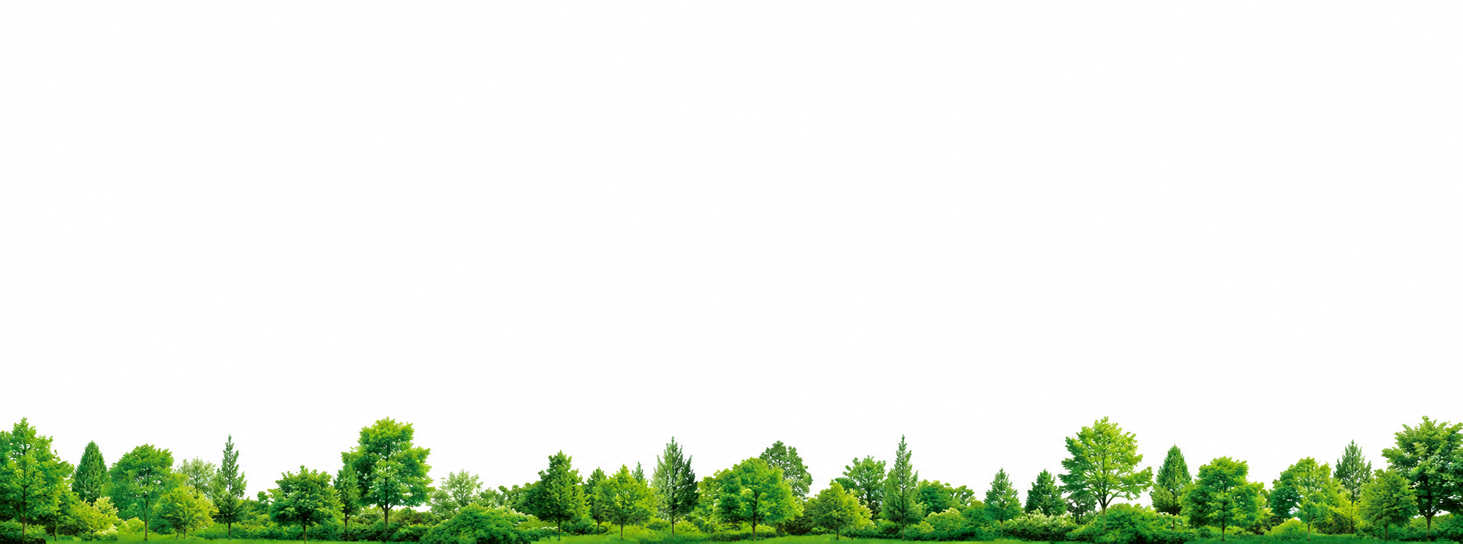 bg image