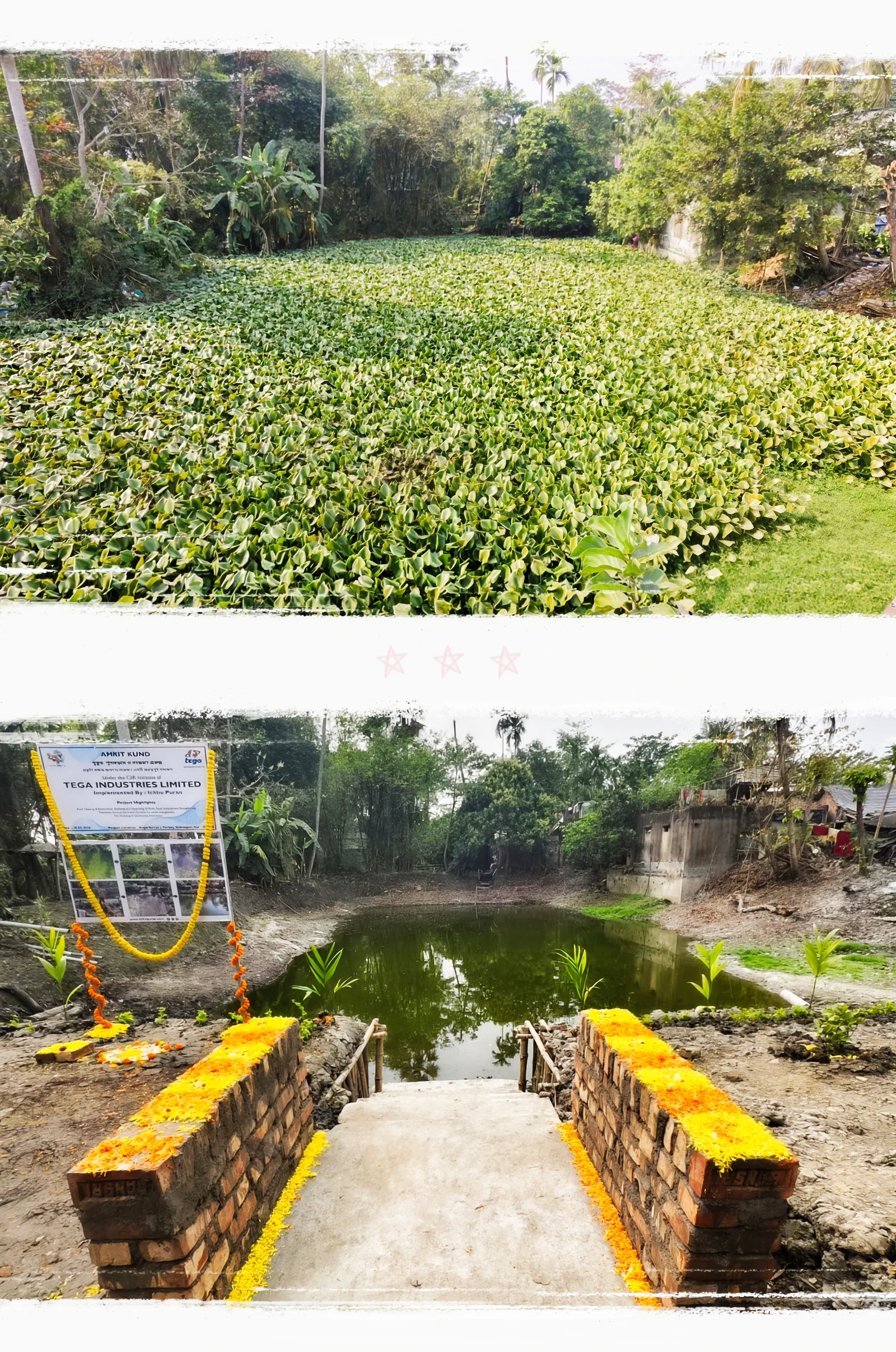 Amrit Kund pond restoration: a pond fully choked with water hyacinth, cleared and reopened with new steps and marigold-decorated railings. Implemented by Ichhe Puran under the CSR initiative of Tega Industries Limited.