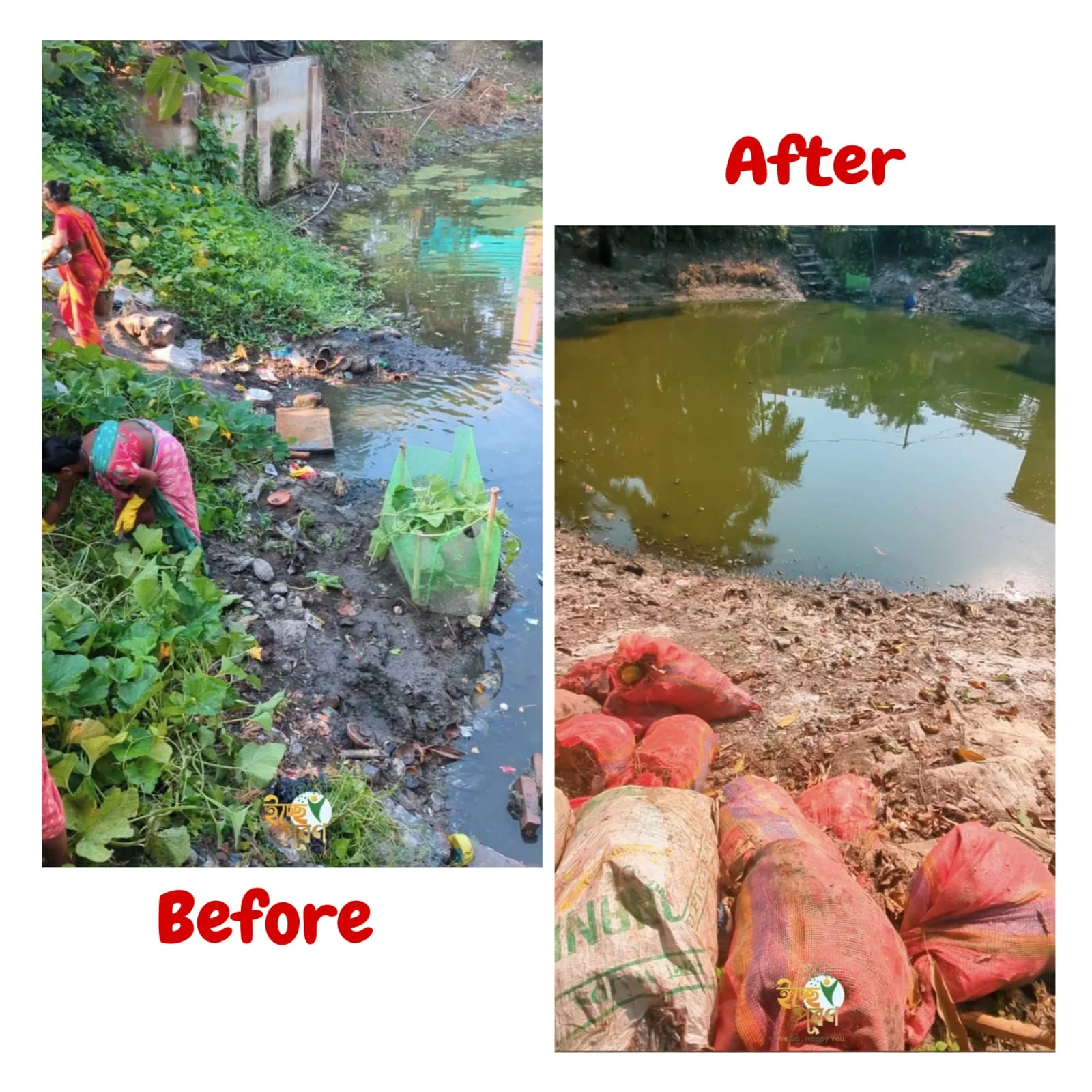 Women desilting a garbage-choked village pond, and the same pond afterward — cleared, with the removed debris bagged at the bank.